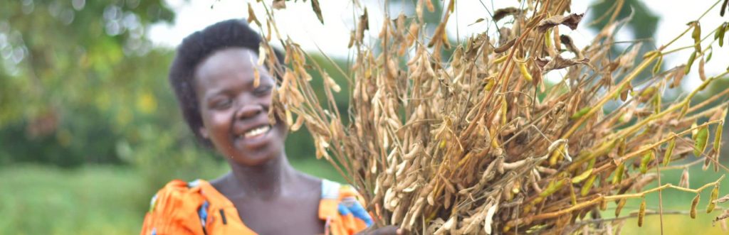 Brenda Akello met een bosje takken Heifer