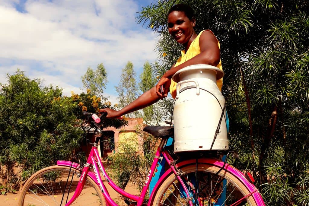 Vrouw met fiets Heifer