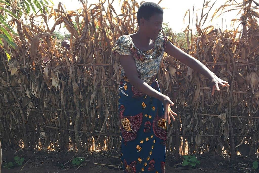 Leadfarmer.1024x683