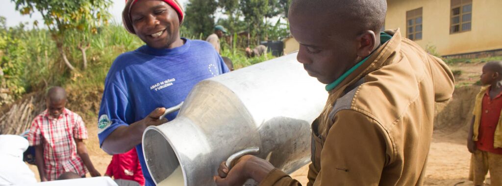 Rwanda Dairy