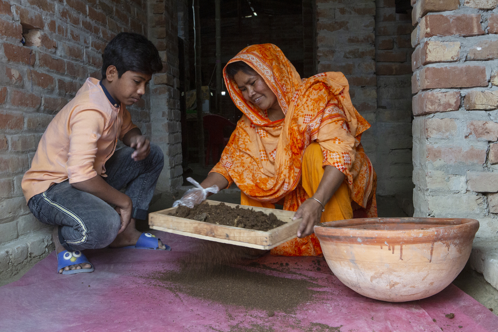 Bangladesh compost