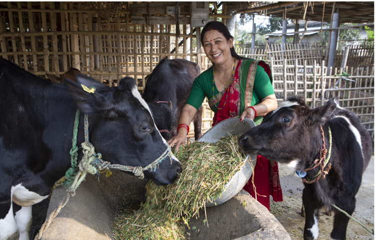 Nepal Dairy