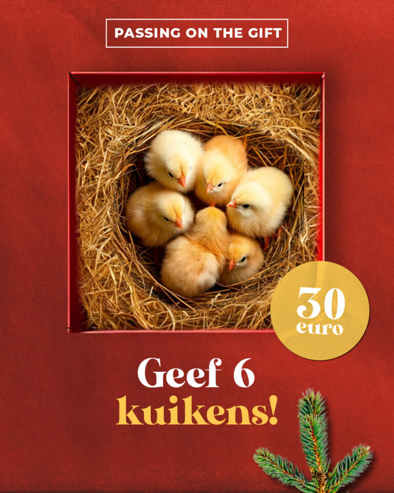 HEI 24742 Socialposts Kuikens 2