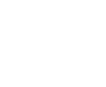 HEI_logo_Nederland_wit